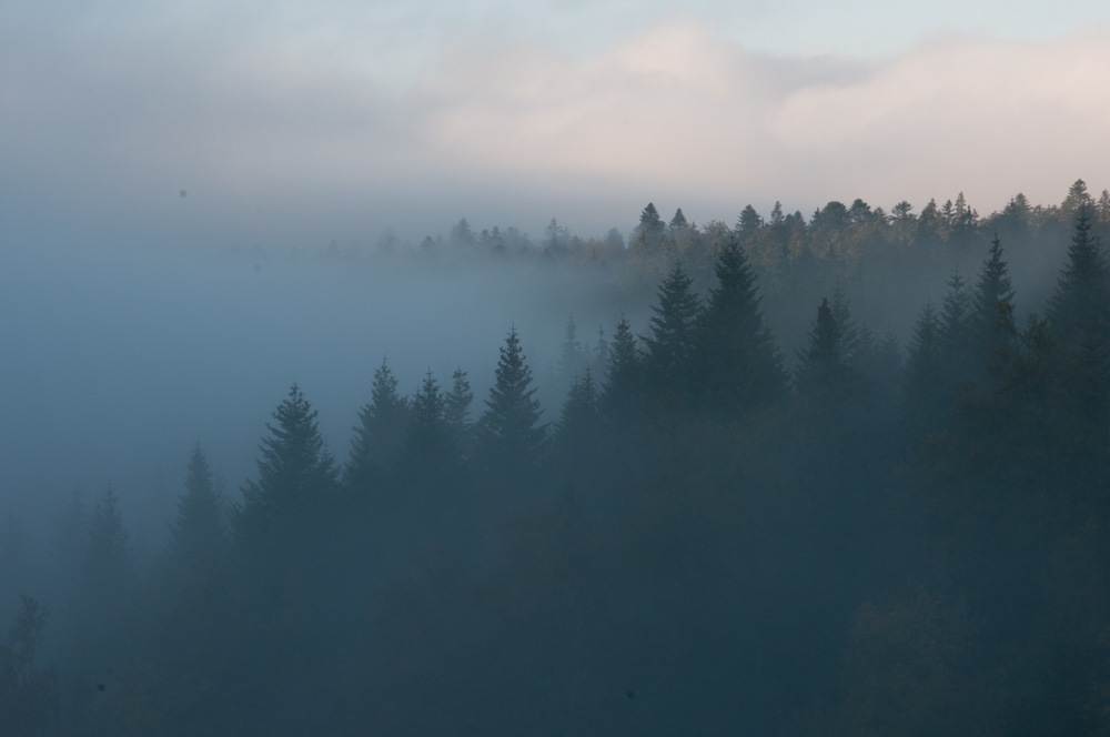 Brumes sur Herbouilly