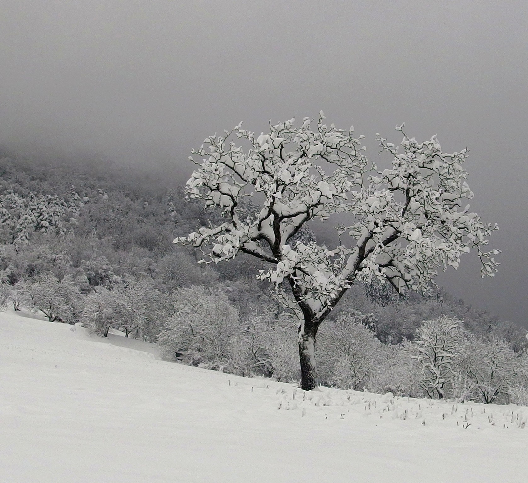 Gh 2 hiver a bouvante