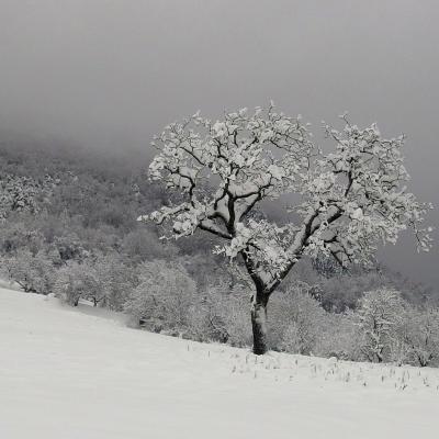 Gh 2 hiver a bouvante