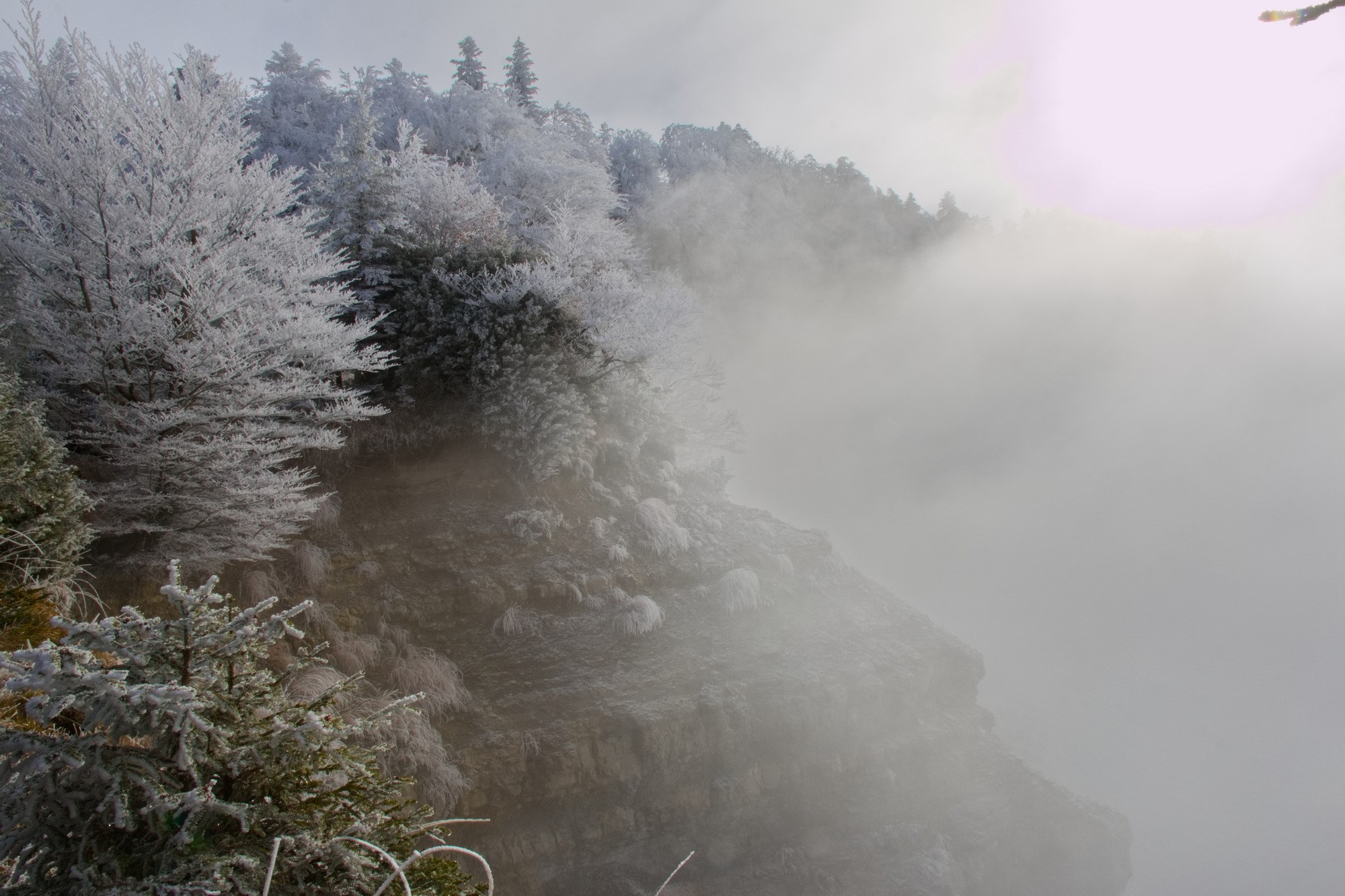 Pelandre brume par jean yves g