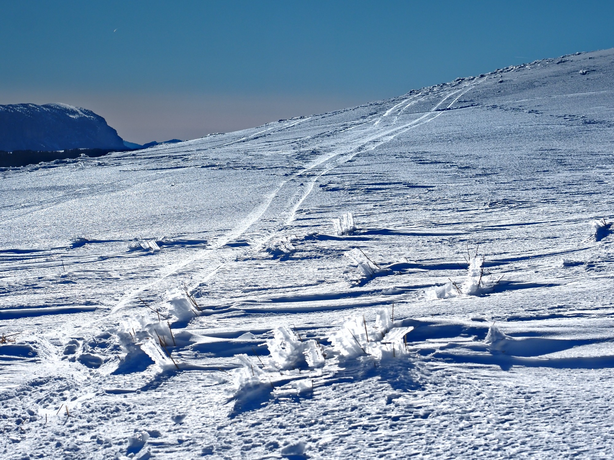 Pierreml contrejour fontdurle1 20250203 m5 1 1