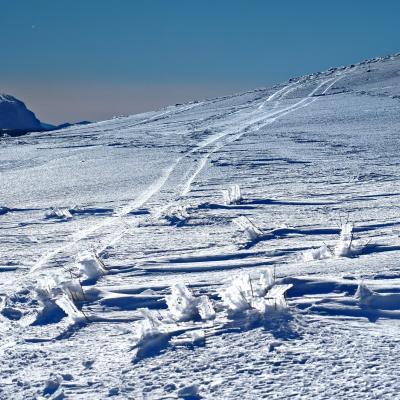 Pierreml contrejour fontdurle1 20250203 m5 1 1